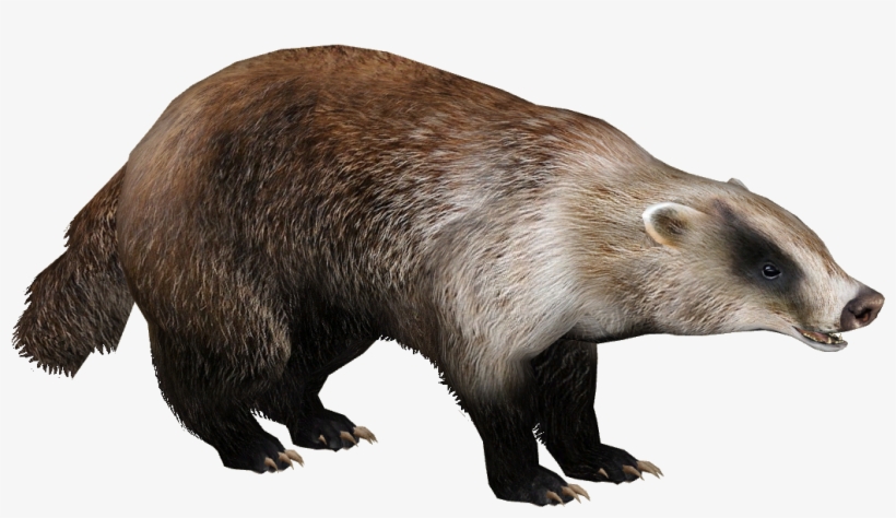 Badgerjapanese Eryel - Zt2 Japanese Badger, transparent png