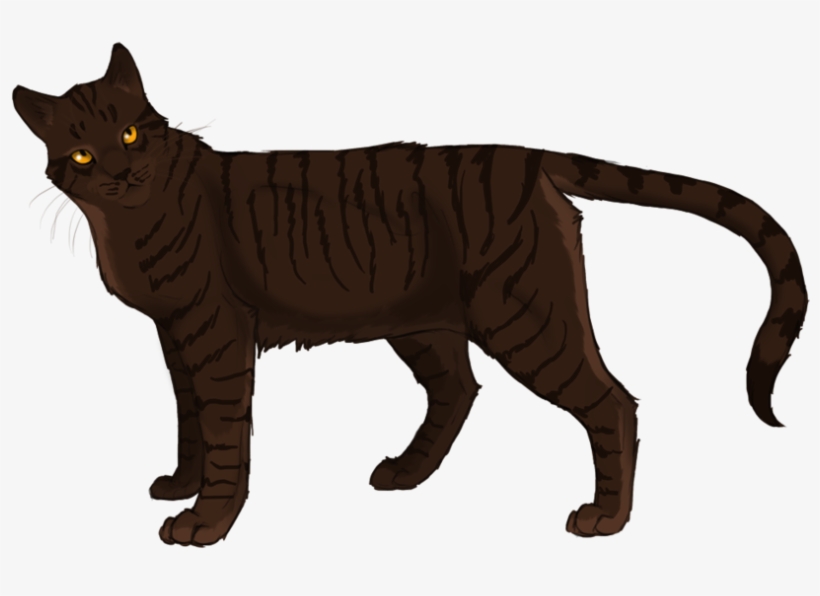 Gallery Image 1 Gallery Image 2 Gallery Image 3 - Lgdc Griffe De Ronce, transparent png