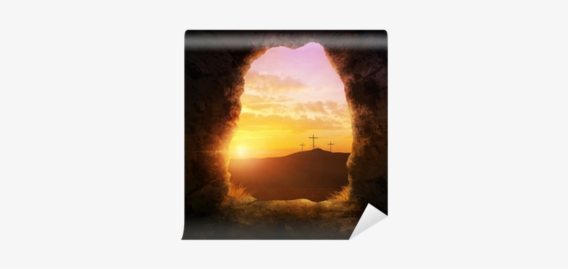 Yonder Wonders: Life Changing Revelations [book], transparent png