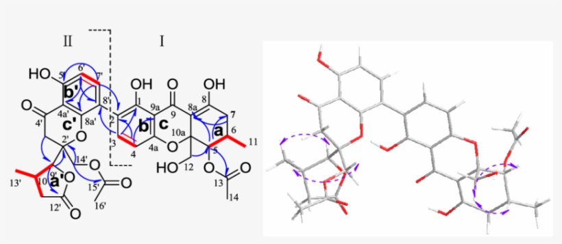 1 H-1 H Cosy , Key Hmbc (blue - Net, transparent png