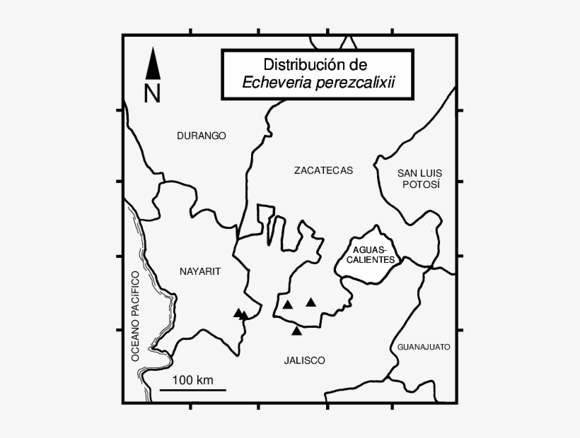 Mapa De Distribución De Echeveria Perezcalixii - Echeveria Perezcalixii, transparent png