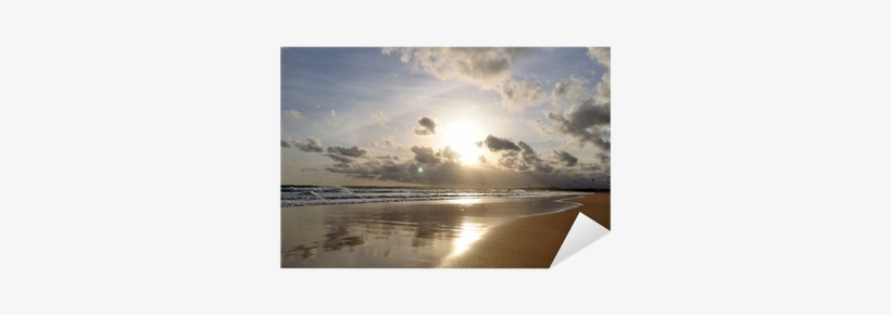 Reflection, transparent png