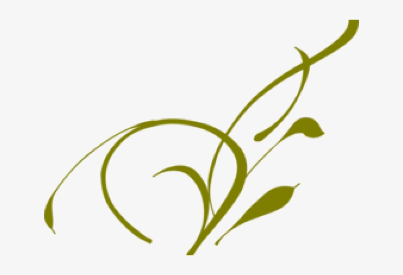 Vine Clipart Olive Green - Vine Clip Art, transparent png