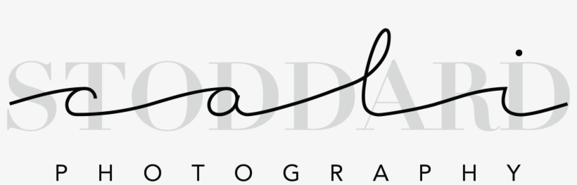 Empty Scroll Transparent Png Clip Art Image, transparent png