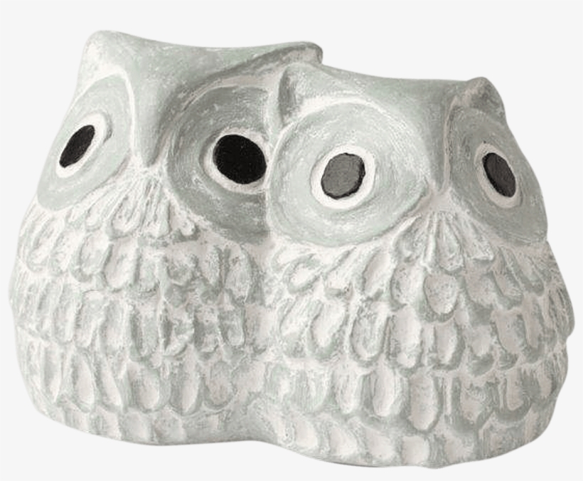 Owls - Isabel Bloom, transparent png