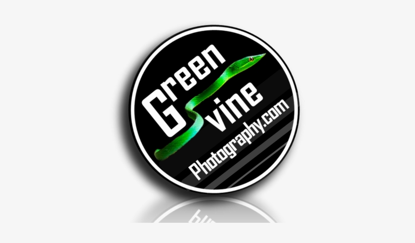 Green Vine - Need Coffee - 25mm 1" Button Badge - Cute Novelty Office, transparent png