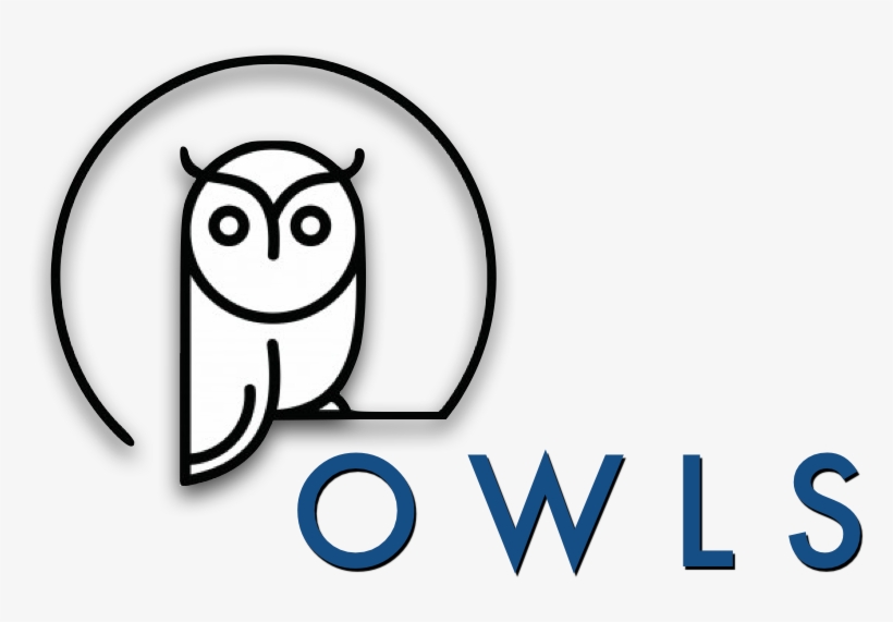Owl Minimalist, transparent png