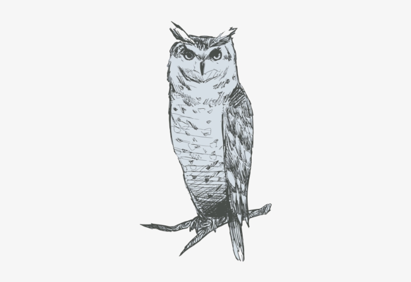 Crooked Owls02-06 - Great Horned Owl, transparent png