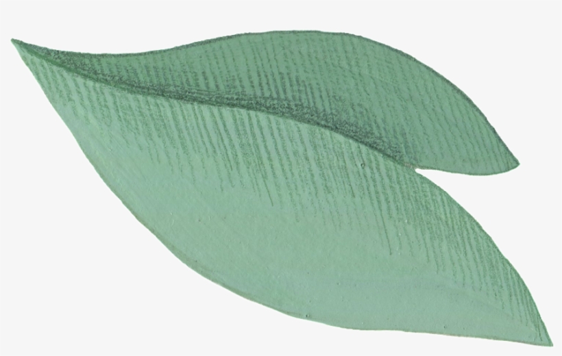 Cartoon Leaf Png - Portable Network Graphics, transparent png