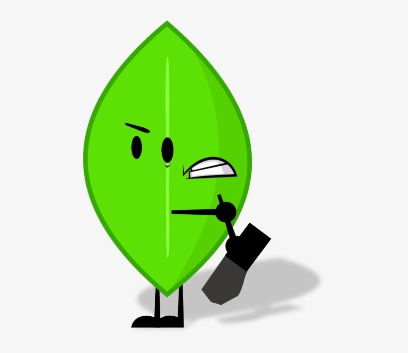 Leaf, transparent png
