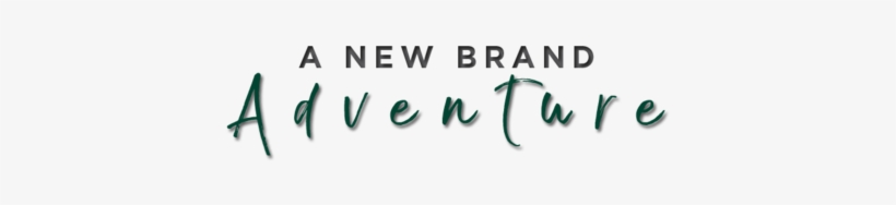 Brainstorming The Blog, transparent png