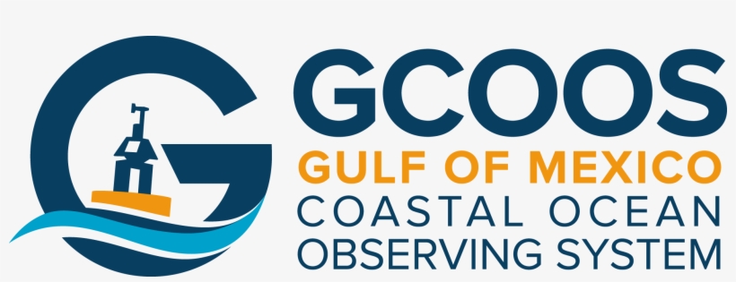 Gulf Of Mexico Coastal Ocean Observing System Receives - Valera Thermo Style Ionic 609.30 Curl Hair Dryer, transparent png