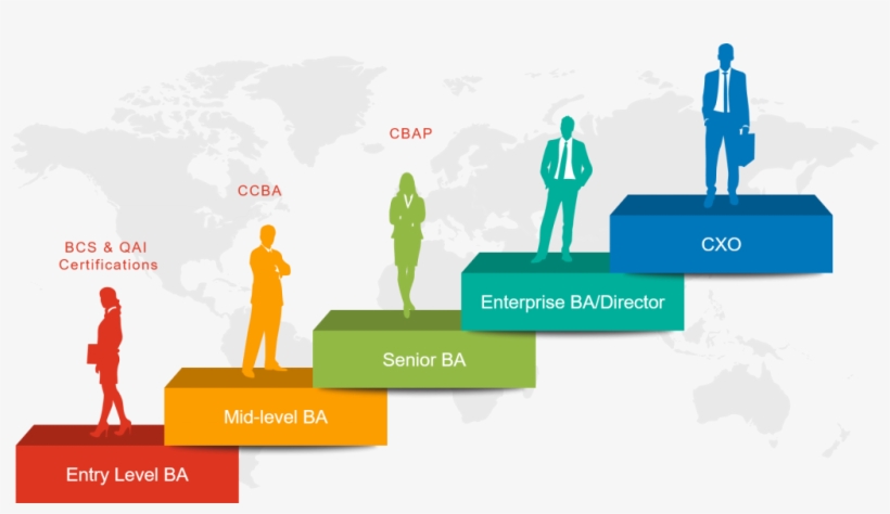 Analyst Png Image - Career Path For A Business Analyst, transparent png
