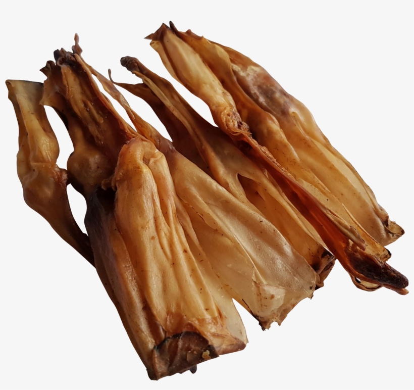 Rabbit, transparent png