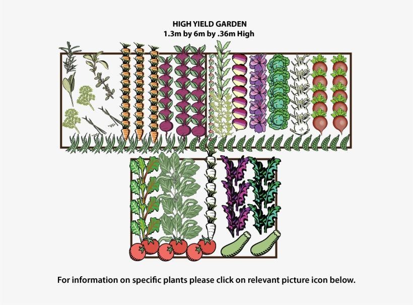 Plans For Our High Yielding Vegetable Garden - Vegetable Garden Top View Png, transparent png