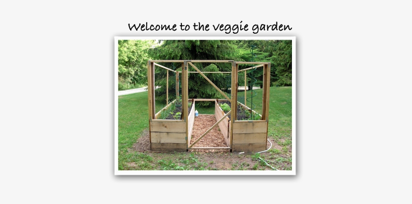 The Main Vegetable Garden That We Built Four Years - Standing Vegetable Garden, transparent png
