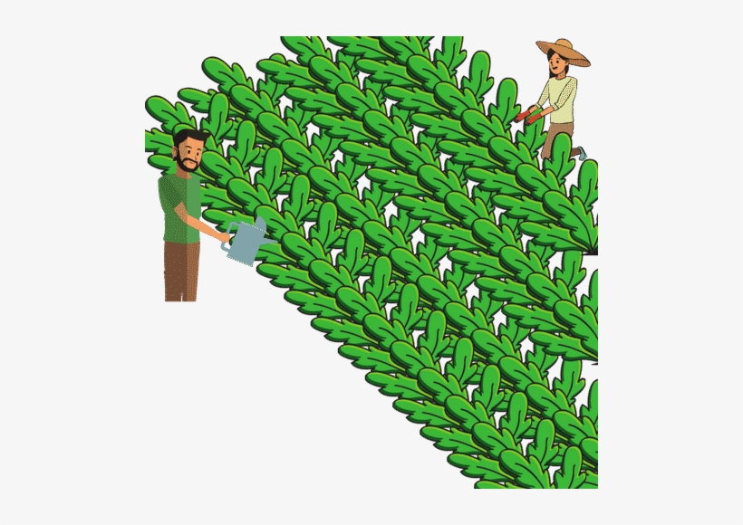 0shares - Illustration, transparent png