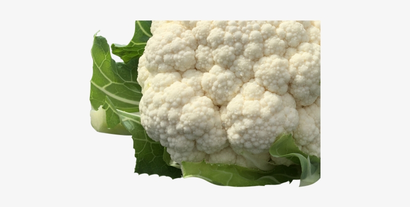Beets - Cauliflower, transparent png