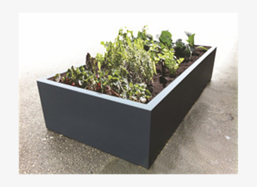 Flowerpot, transparent png