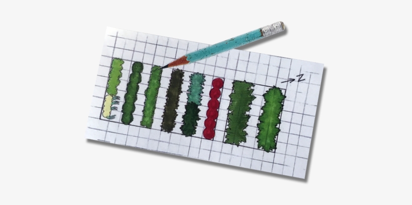 A Sketch Planning A Garden Layout - Vegetable Garden Map, transparent png