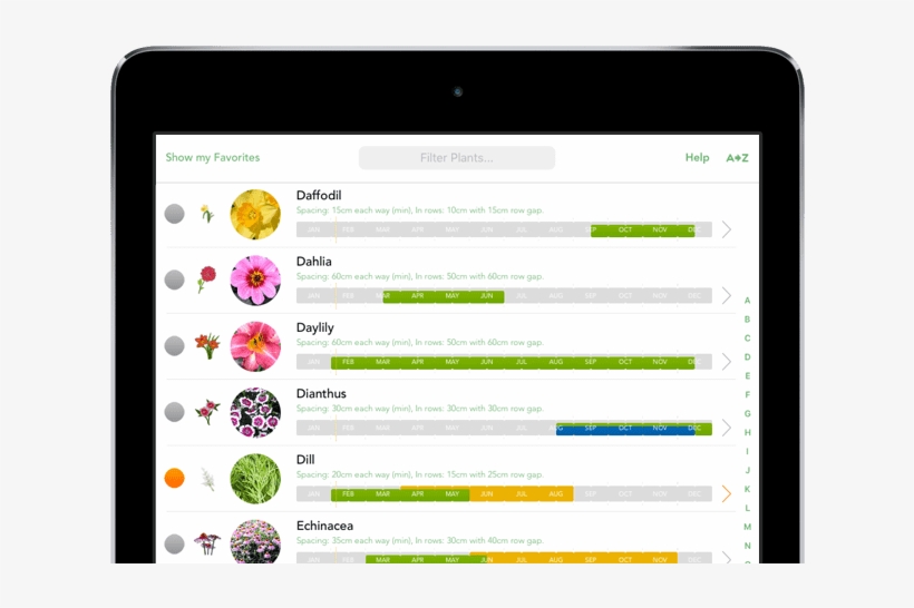 Men Garden Planner Location Hero Unbranded - Vegetable, transparent png