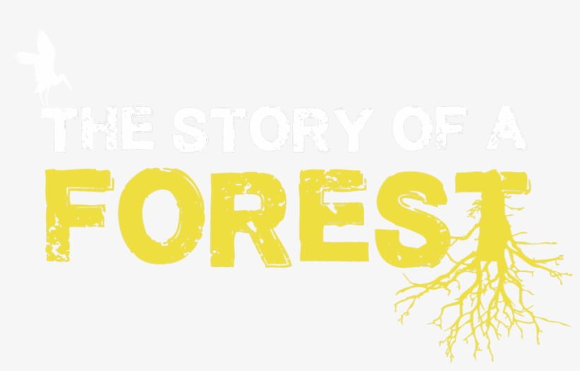 The Story Of A Forest Logo Web - The Dark Forest, transparent png