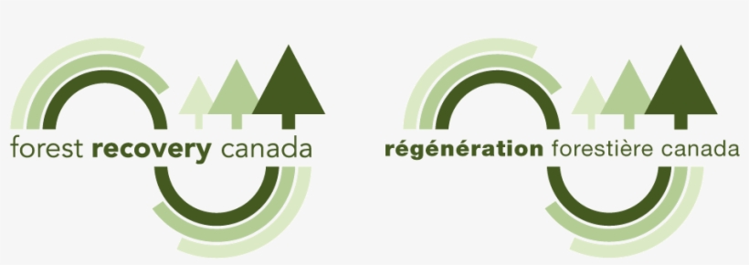 Forest Recovery Canada Is The National Tree Planting - Forest, transparent png