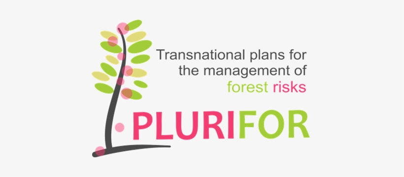Logo Text Eng Websize, transparent png