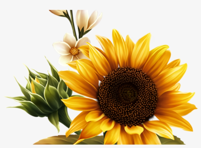 Kwiaty Png / Flowers Png - Sunflower Flag Clipart, transparent png
