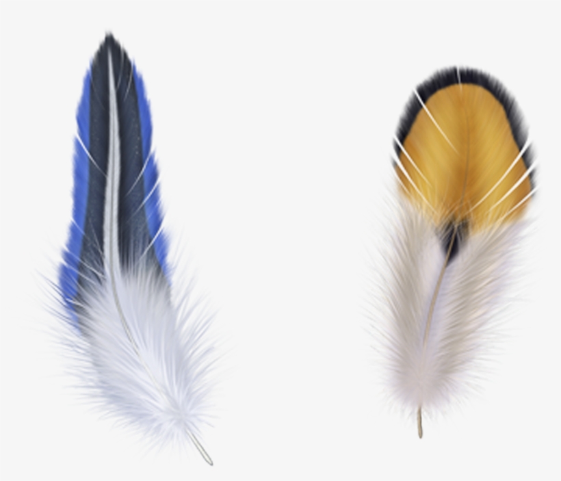 Clip Art Blue Transprent Png Free - Feathers Metal Travel Mug - By Mark Ashkenazi, transparent png