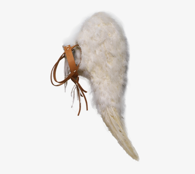 The Wings - Insect, transparent png