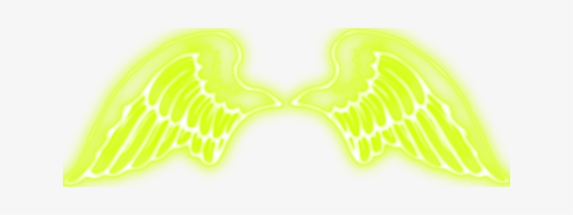 Zoom Diseño Y Fotografia - Light, transparent png