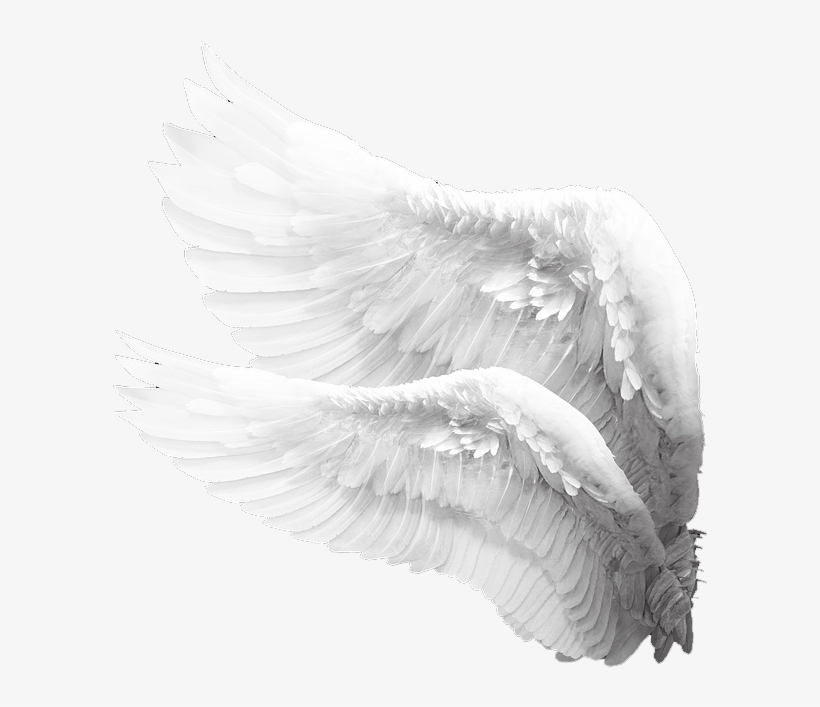 Guardian The Guardian Series Volume 1, transparent png