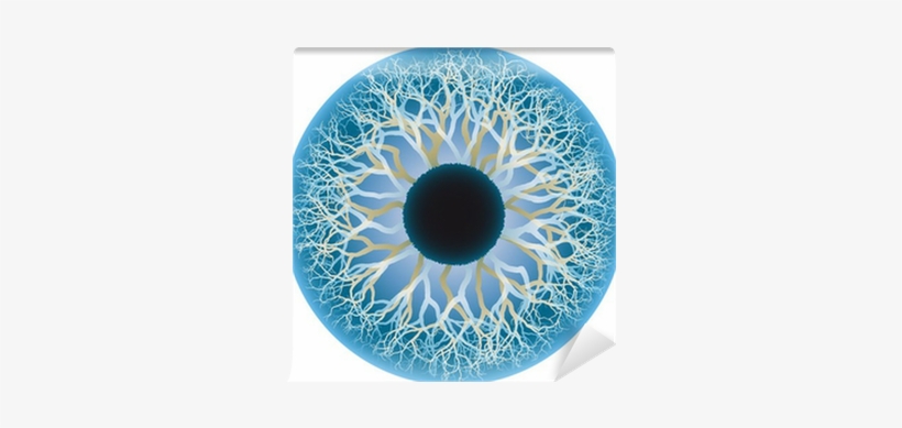 Human Eye, transparent png
