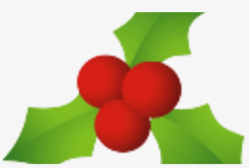 Transparent Christmas Mistletoe Garland With Flowers - Christmas Mistletoe, transparent png