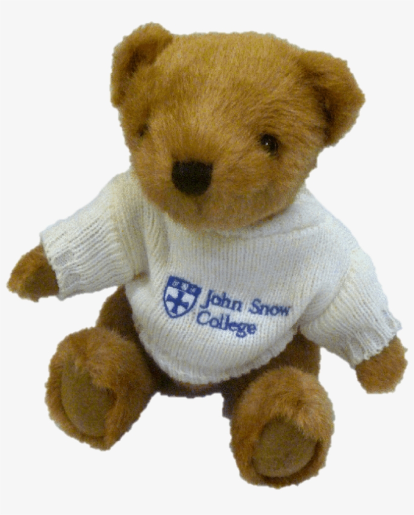 John Snow College Buster Bear By Channel Island Bears, transparent png