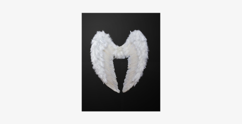 Angel Wings, transparent png