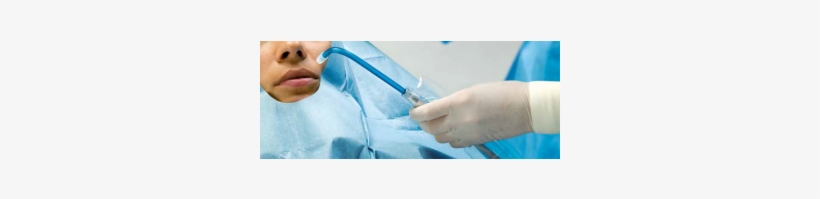 Quick View - Monkey, transparent png