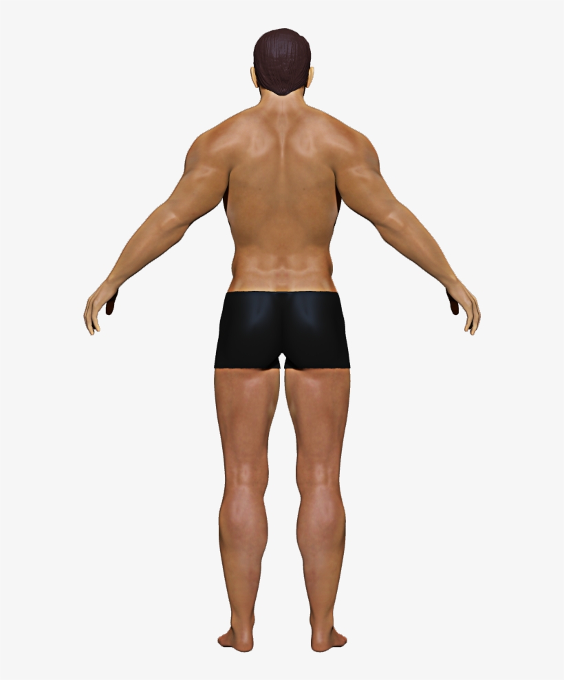 Omni1 - Standing, transparent png