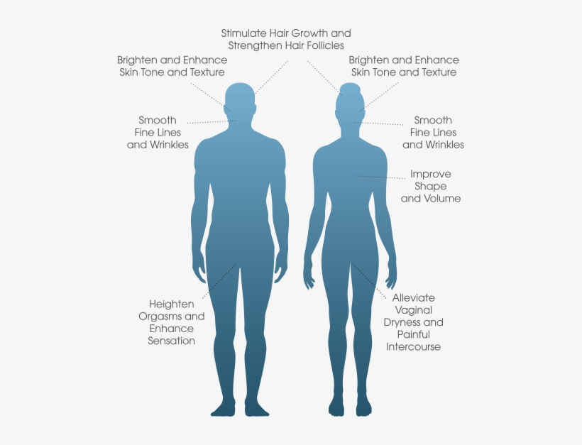 Hair Restoration - Human Silhouette Man And Woman, transparent png