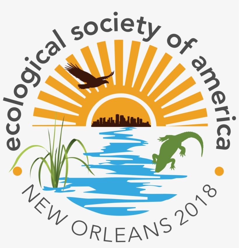 Using Tree-fall Patterns To Calculate Tornado Wind - Ecological Society Of America 2018, transparent png