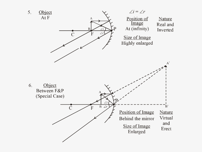 Download Transparent Image Formation By Convex Mirror Light