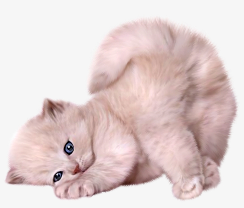 Gatos Png - Tale Of Tom Kitten [book], transparent png