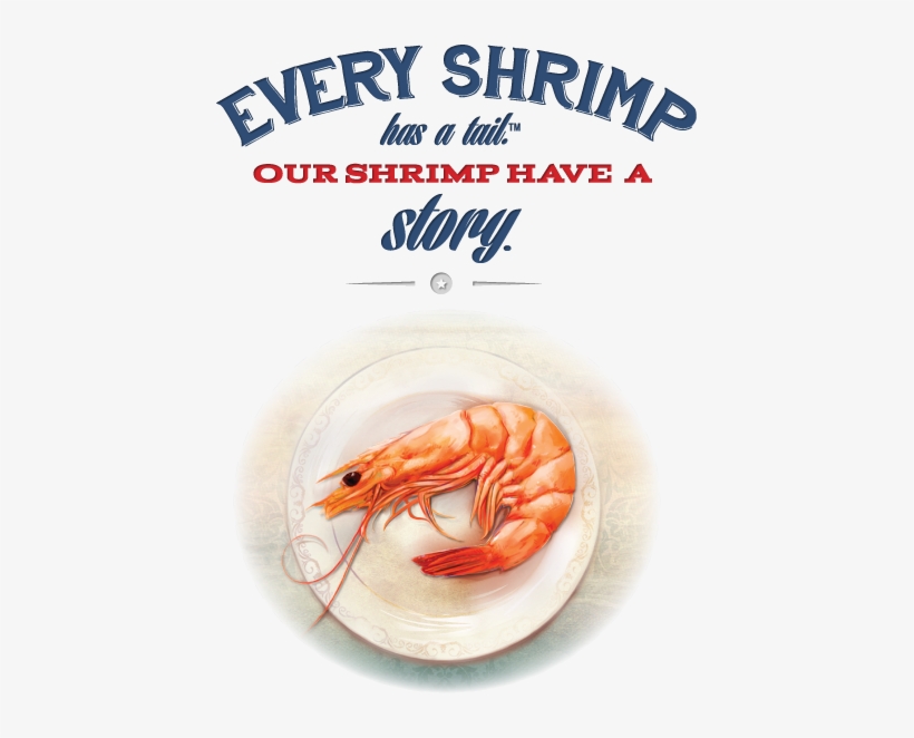 Why American Shrimp - American Shrimp, transparent png