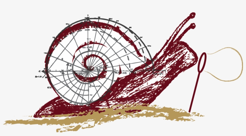 Snail Mathematics, transparent png