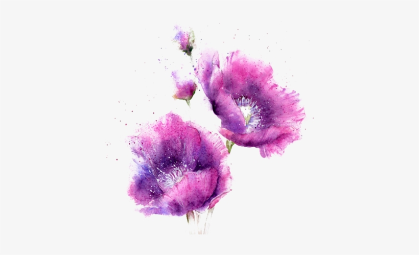 Largest Collection Of Free To Edit Flower@mummabear12, transparent png