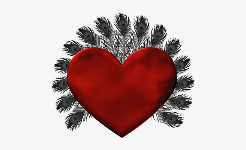 Red Heart With Black Feathers Png Clipart - Aalo Qosol Badan, transparent png