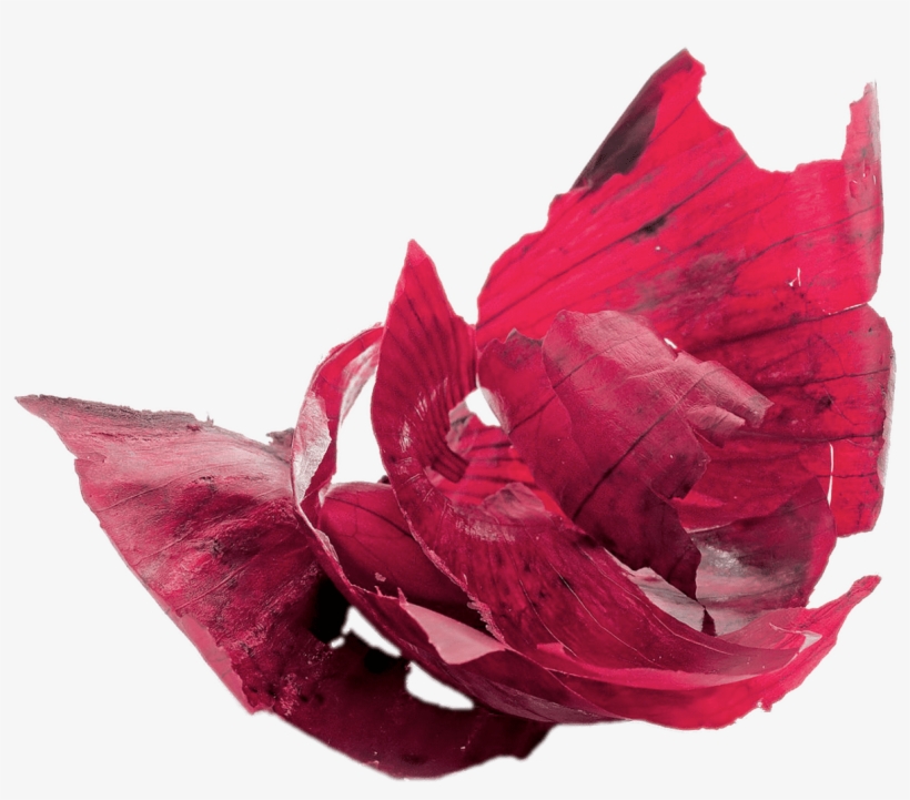 Download - Onion Peels Png, transparent png