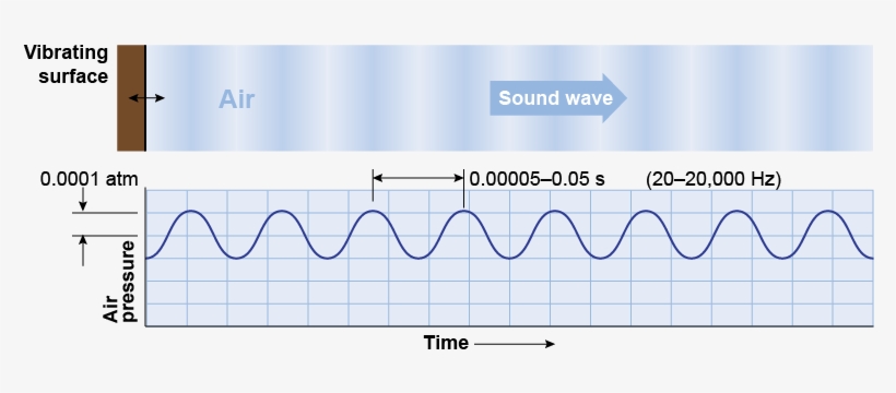 Sound Waves Are Oscillations Of Pressure In Air - Plot, transparent png