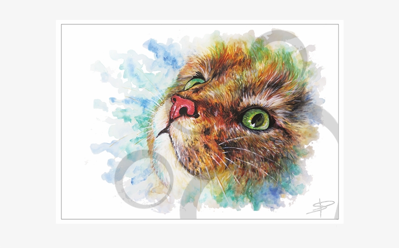 Tabby Face - Tabby Cat, transparent png